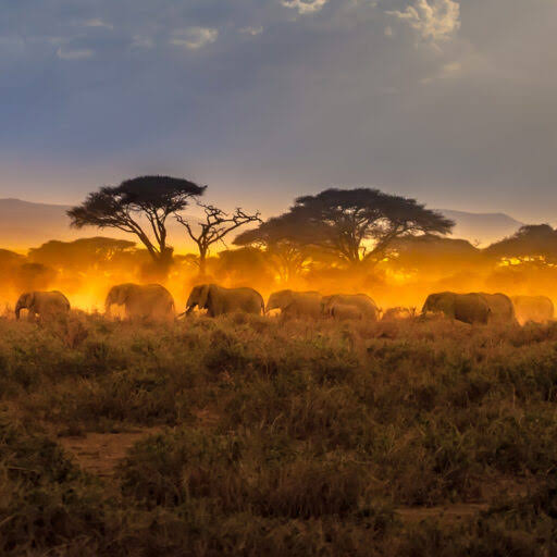 Kenya